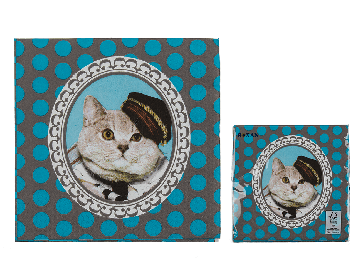 Paper napkins
