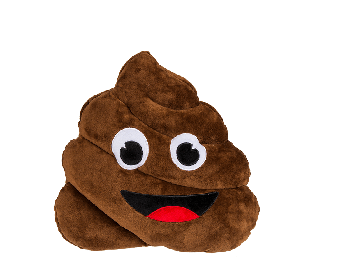 Plush cushion