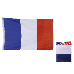 France flag with metal rings