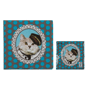 Paper napkins