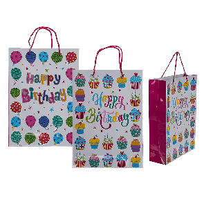 Paper Gift bag