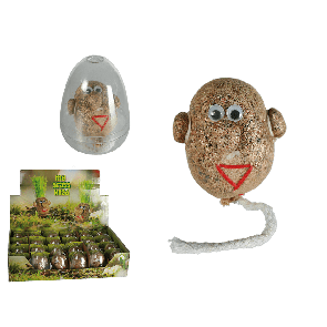 Grass head in PVC egg