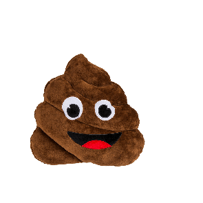Plush cushion