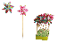 Kvetinová vrtuľka